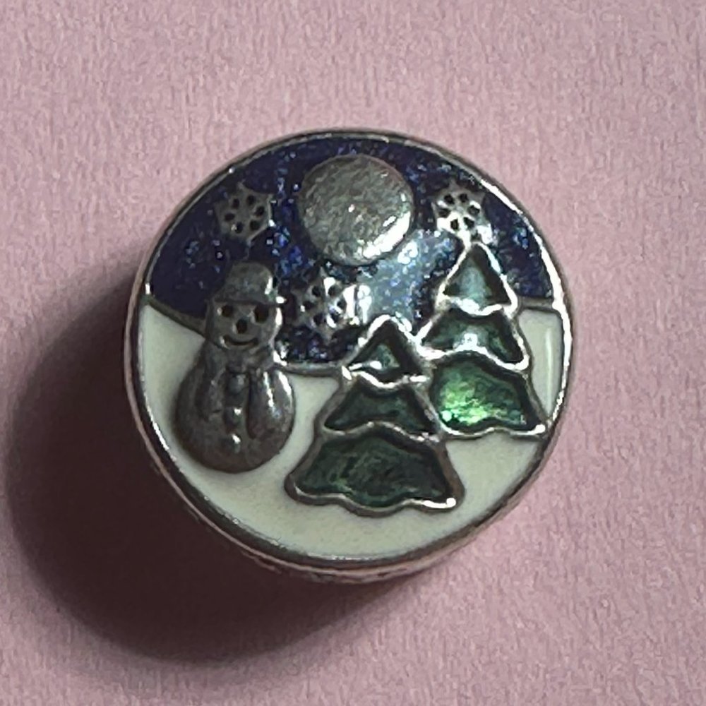 Snowy Wonderland Charm